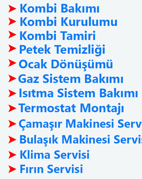 basiskeleservis2 basiskelekombitamiri